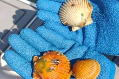 IMG_20220902_132738