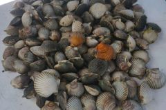 IMG_20221219_110949