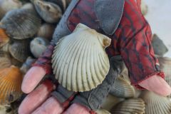 IMG_20221219_110951